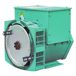 Kleine Elektrische Generator Stille Ac Eenfase Synchrone Dynamo 16kw 32kw 40kw Watergekoelde Dieselmotor Verwarmer