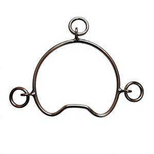 Mors de cheval en fonte ou en acier inoxydable, grands mors de dressage, mors de frein, fabricant indien pour l'équitation - Product Image 1
