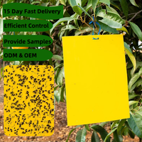 Planche collante double face pour attirer les insectes Planche collante pour les thrips Jardins de thé Serres potagères et vergers