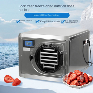 Secador Industrial de Acero Inoxidable por Congelación al Vacío a Baja Temperatura para Alimentos, Utilizado para la Producción de Frutas, Verduras, Carne y Aperitivos - Product Image 5