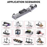 Module linéaire à vis à billes personnalisé avec servomoteur de haute précision (répétabilité ±0,005 mm/±0,01 mm) pour l'automatisation des machines d'emballage
