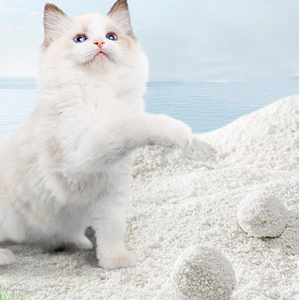 Areia Sanitária Aglomerante de Mandioca para Gatos com Controle de Odores Eficiente, Produtos Domésticos, Marca Própria, Recipiente para Areia Sanitária, Areia Verde - Product Image 2