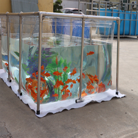 Petite aquarium de bureau entièrement en acrylique pour poissons bêta et mini plantes aquatiques