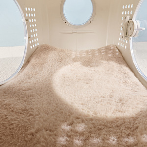 पोर्टेबल लुभावनी पीप प्लास्टिक एयर बॉक्स डिचेबल पालतू कुत्ते बिल्ली यात्रा के लिए - Product Image 6