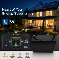 Batterie LiFePO4 VOLTRA ABS avec sangle, design portable, 12,8 V 100 Ah 1280 Wh, garantie 5 ans, prix de gros, vente en gros, directement de l'usine