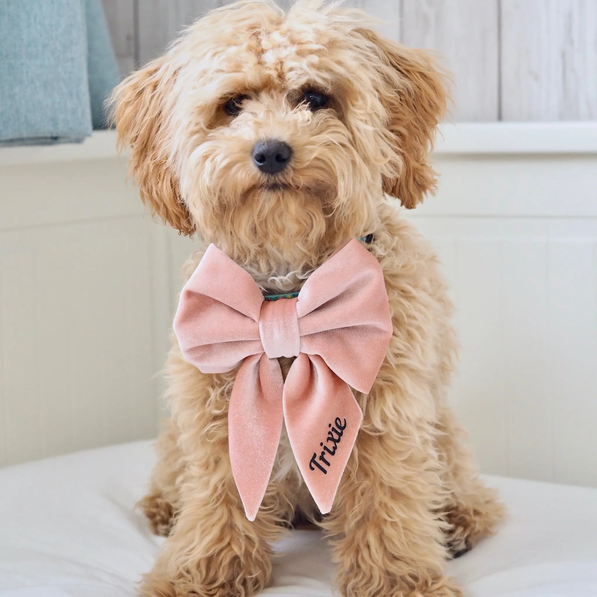 Thời Trang Tùy Chỉnh Bông Tam Giác Bandana Bowknot Dog Collar Ngực Trở Lại Thiết Lập Cổ Áo Vật Nuôi Sling Vest Set