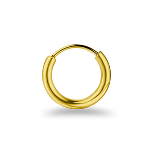 Серьги-кольца из титанового сплава G23, гипоаллергенные, с закрытым кольцом, для пирсинга, оптом - Product Image 5