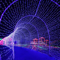 Arche en forme de cœur romantique pour mariage en plein air, lumières LED PVC IP65, tunnel temporel pour décorations de Noël en parc et aménagement paysager