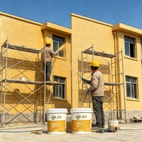 Peinture décorative pour murs extérieurs, écologique, faible teneur en COV, effet pierre véritable, résistante aux fissures, pour hôtel