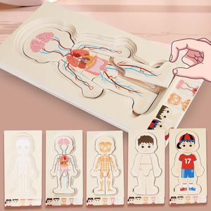 Rompecabezas Montessori de Madera para Aprender sobre las Partes del Cuerpo Humano, Anatomía, Esqueleto, Mi Cuerpo, para Niños Pequeños, Niños y Niñas - Product Image 2