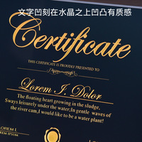 Medaillen Custom Company Autor isierungs lizenz Crystal Wooden Business Trophy Award Plakette