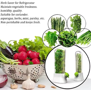 Caja de mantenimiento fresco de vegetales de vainilla 2025: resistente a la presión, ideal para almacenamiento a largo plazo - Product Image 5