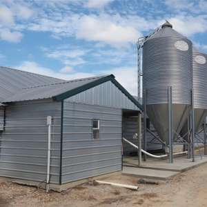 Capannone Agricolo a Basso Costo in Struttura d'Acciaio, Costruzione di Allevamenti Avicoli, Pollaio Industriale - Product Image 3