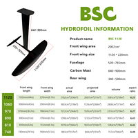 BSC 1120 Hydrofoil 2007cm² Grande aile avant en fibre de carbone Wingfoil Surf Foil Pump Foiling AXIS
