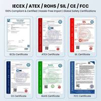 Détecteur de gaz portable IP65 Ex Ib IIC T4 anti-explosion 3% FS Réponse 30s 2000mAh Rechargeable Moniteur 4 gaz