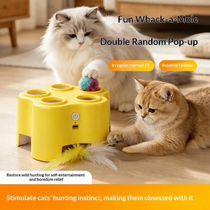 Giocattolo Elettrico Interattivo per Gatti, Moderno e Resistente ai Morsi, per Gattini, per Esercizio e Divertimento - Product Image 2