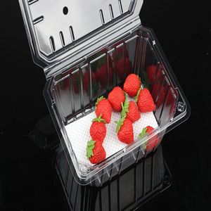 แผ่นกระดาษซับน้ำสีขาวขนาด 160 มม. x 70 มม. สำหรับเนื้อสัตว์ อาหารทะเล ผลไม้ ผัก - ผลิตภัณฑ์ที่เป็นมิตรต่อสิ่งแวดล้อม - Product Image 3