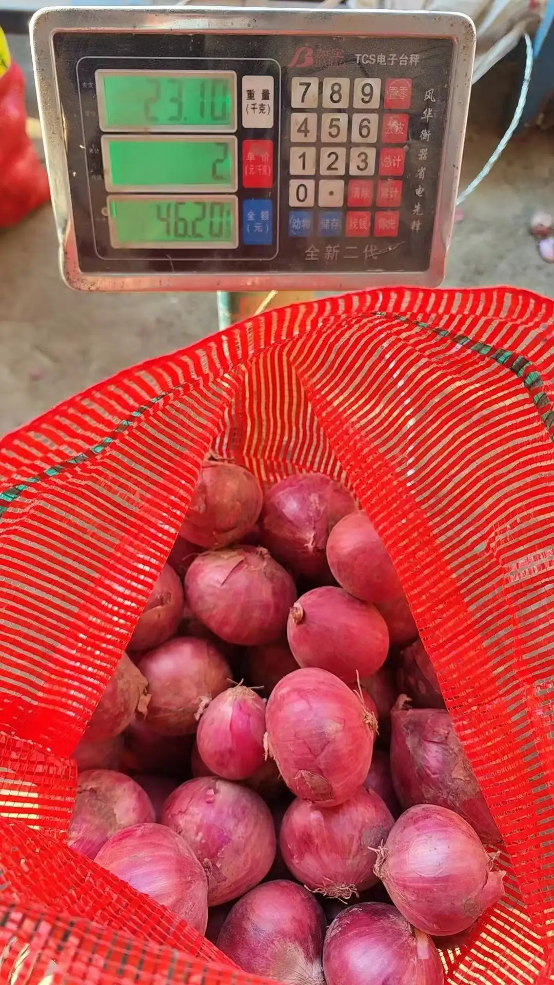 New crop Chinese fresh yellow onion and red onion packing 10 kg market price