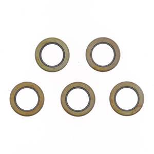 Kit de Juntas de Aceite ATHENA P730900925700 19x2856x4.3 mm - 5 Piezas - Product Image 1