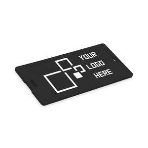 Tốt nhất bán Hot nhựa nhỏ hình chữ nhật thẻ kinh doanh USB <span class=keywords><strong>Flash</strong></span> Drive thẻ tín dụng USB <span class=keywords><strong>Memory</strong></span> <span class=keywords><strong>Stick</strong></span> 2GB 4GB 8GB 16GB 32GB 64 gam - Product Image 2