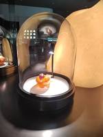 Vitrine d'exposition ovale en plastique renforcé de fibres de verre de haute qualité avec éclairage LED pour musées et commerces
