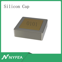 Condensateur en silicium NYFEA FSC0101V101R0300 0101 100pF 100VDC 65 Ppm/C, capuchon vertical 0,25x0,25x0,20mm, faible fuite, haute stabilité 10