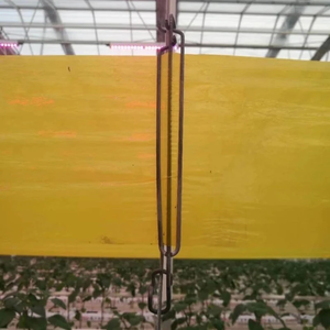 Piège à rouleaux de colle jaune 30CM * 100M Piège à rouleaux adhésifs bleus Piège à mouches pour serre de <span class=keywords><strong>tomates</strong></span> - Product Image 4