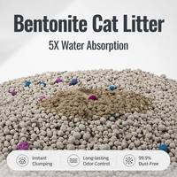 Litière pour chat en bentonite purement naturelle et biodégradable, agglomérante, contrôle des odeurs, parfum lavande, forme de boule, emballage OEM disponible