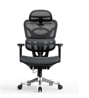 Chaise de bureau ergonomique en maille avec dossier inclinable réglable, repose-pieds et appui-tête, soutien lombaire pour atelier et travail