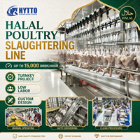 Équipement d'abattage halal CE, ligne d'abattage de volailles, ligne d'abattage de poulets, projet clé en main, ligne de traitement 3000-15000BPH