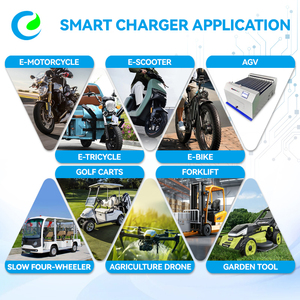 Caricabatterie SPC-500WHF agli ioni di litio <span class=keywords><strong>per</strong></span> droni Golf cart moto elettriche Scooters-48V 60V 72V <span class=keywords><strong>accessori</strong></span> elettrici - Product Image 5