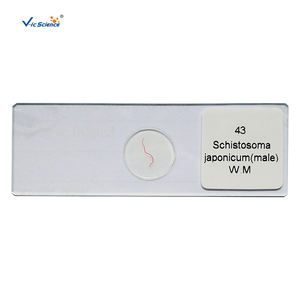 실험실 장비 슬라이스 세트 기생충 준비 슬라이드 생물학 의료 기생충 <span class=keywords><strong>7101</strong></span> 현미경 교육 준비 슬라이드 - Product Image 6