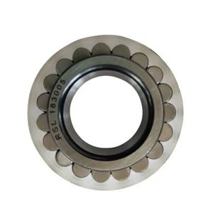 Roulements à rouleaux cylindriques RSL182205-A-XL 25x46.52x18mm mm RSL18 2205-A-XL Roulements à rouleaux complets - Product Image 3