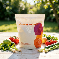 Sacs d'emballage refermables pour aliments secs, sachets anti-humidité en plastique, sacs refermables imprimés, sacs Mylar refermables