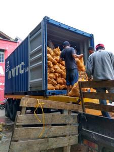 SEMI-HUSKED secas, coco, el mejor precio - Product Image 3