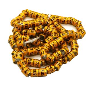 Bijoux de pied de Pigeon en argent <span class=keywords><strong>2022</strong></span>, boucles d'oreilles avec mot, anneau de course Durable de qualité, outil d'entraînement pour les oiseaux - Product Image 6