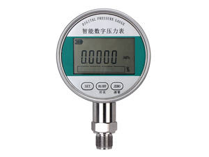 Contrôleur <span class=keywords><strong>de</strong></span> pression <span class=keywords><strong>numérique</strong></span> <span class=keywords><strong>de</strong></span> haute <span class=keywords><strong>précision</strong></span> <span class=keywords><strong>manomètre</strong></span> boîtier rotatif <span class=keywords><strong>manomètre</strong></span> <span class=keywords><strong>numérique</strong></span> 0-10bar - Product Image 6