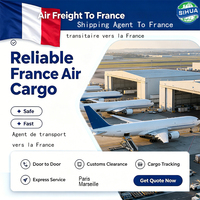Agente de Transporte de Carga, Logística Marítima y Aérea a Francia, Marsella, Servicio de Transporte de Mercancías, Envío, Entrega