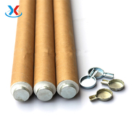 Factory Direct Price Molten Steel Sampler Customize Immersion Metallurgical Analysis Dual Thickness Molten Metal Sampler