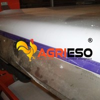 Système de cage à poules pondeuses de type H avec ligne d'alimentation et d'abreuvement entièrement automatiques et système de collecte des œufs pour élevages commerciaux de poules pondeuses