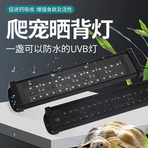 Reptile UVA + UVB Spectre Complet LED Lampe UV 10.0/20.0-<span class=keywords><strong>Tortue</strong></span> Lézard Serpent Lumière pour Terrarium & <span class=keywords><strong>Vivarium</strong></span> - Product Image 2