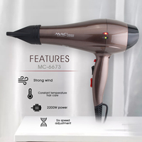 Sèche-Cheveux Professionnel MAC pour Grossistes 5000 W à Ions Négatifs, Moteur AC Puissant pour Séchage Rapide en Salon