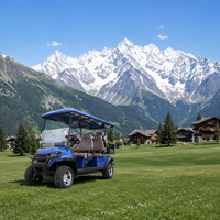 Voiturette de golf électrique abordable à 6 places avec sièges pliants, idéale pour les parcs communautaires