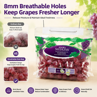 Sac à soufflet durable en PET/CPP de qualité alimentaire avec trou de poignée, emballage composite pour fruits (raisins)