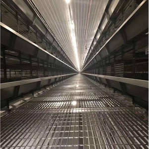 Cage de poulet couche de type H entièrement automatisée pour les pondeuses élevage de volailles cages de batterie automatiques pour œufs poulets ferme cage de poulet - Product Image 5