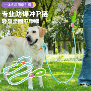 New cross-border pet leash for small and medium-sized dogs with <b>sponge</b> <b>handle</b>, dopamine dog leash manufacturer, in stock. - Product Image 5