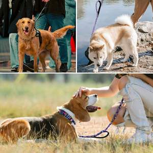 Correa Doble para Gatos Hikiko de 6 Pies, para Gatos Medianos y Grandes, con Asas Acolchadas y Luces, para Pasear y Entrenar (Azul Marino Floral) - Product Image 6