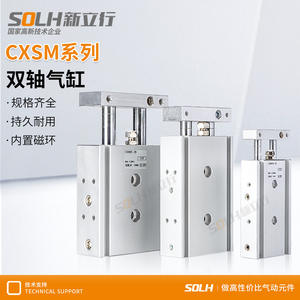 CXSM25 32 -10/20/30/40/50/60/75/100/125/150 Cilindro Neumático de Doble Vástago y Doble Eje, Piezas Neumáticas - Product Image 3