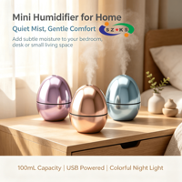 Mini Diffuseur Humidificateur d'Arômes en Forme d'Œuf 100ml USB Portable Sans Eau en Plastique avec LED, Écologique pour Maison et Hôtel