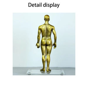चिकित्सा विज्ञान शिक्षण के लिए डीलक्स तांबे रंग मानव एक्यूपंक्चर मॉडल 50CM स्कूल - Product Image 6